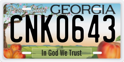 GA license plate CNK0643