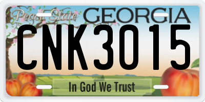 GA license plate CNK3015
