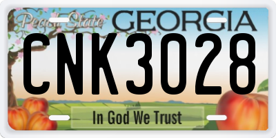 GA license plate CNK3028