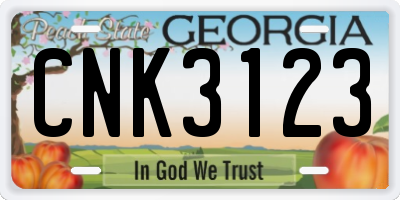 GA license plate CNK3123