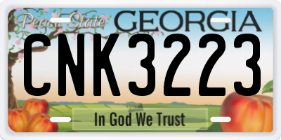 GA license plate CNK3223
