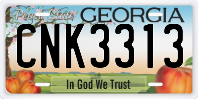 GA license plate CNK3313