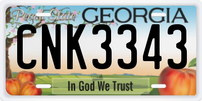 GA license plate CNK3343