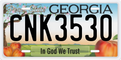 GA license plate CNK3530