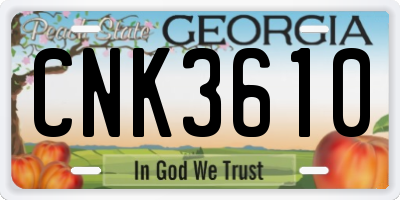 GA license plate CNK3610
