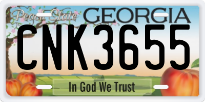 GA license plate CNK3655