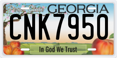 GA license plate CNK7950