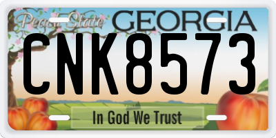 GA license plate CNK8573