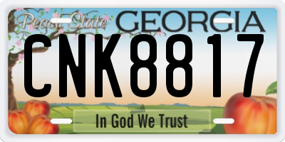GA license plate CNK8817