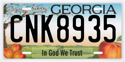 GA license plate CNK8935