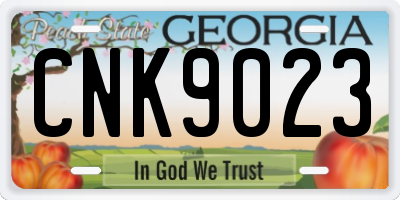 GA license plate CNK9023