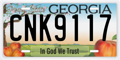 GA license plate CNK9117