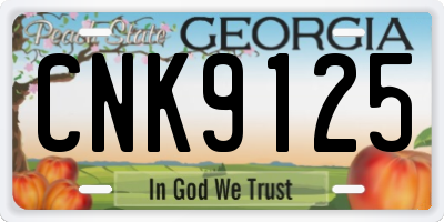 GA license plate CNK9125