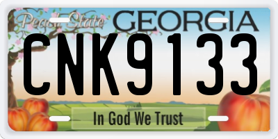 GA license plate CNK9133
