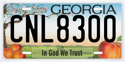 GA license plate CNL8300