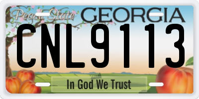 GA license plate CNL9113