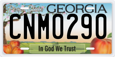 GA license plate CNM0290