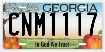 GA license plate CNM1117