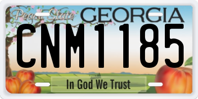 GA license plate CNM1185
