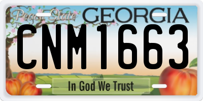 GA license plate CNM1663