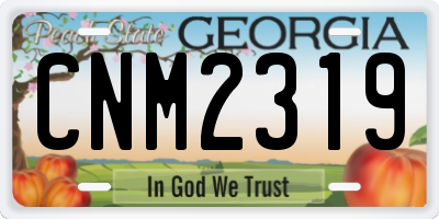 GA license plate CNM2319