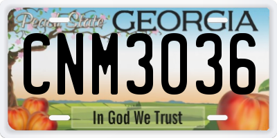 GA license plate CNM3036