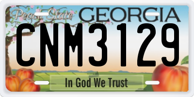 GA license plate CNM3129