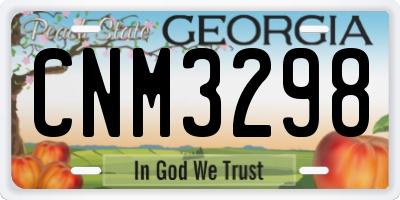 GA license plate CNM3298