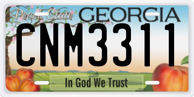 GA license plate CNM3311