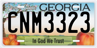 GA license plate CNM3323