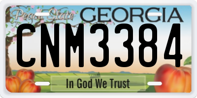 GA license plate CNM3384