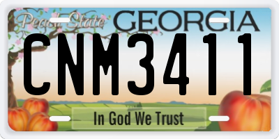 GA license plate CNM3411
