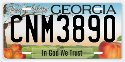 GA license plate CNM3890