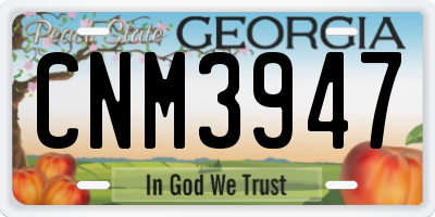 GA license plate CNM3947