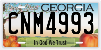 GA license plate CNM4993