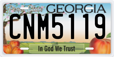 GA license plate CNM5119