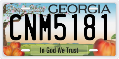 GA license plate CNM5181
