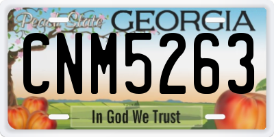 GA license plate CNM5263