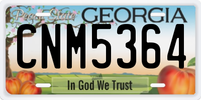 GA license plate CNM5364