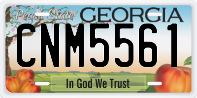 GA license plate CNM5561