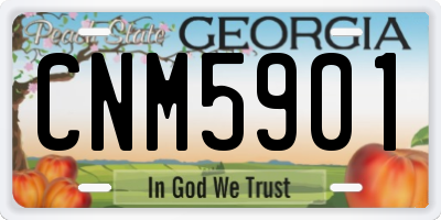 GA license plate CNM5901