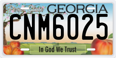GA license plate CNM6025
