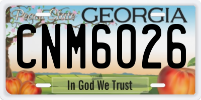 GA license plate CNM6026