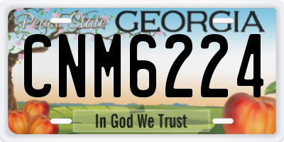 GA license plate CNM6224