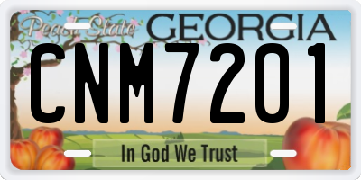 GA license plate CNM7201