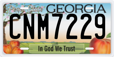 GA license plate CNM7229