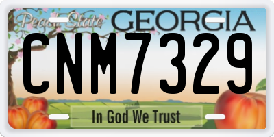 GA license plate CNM7329