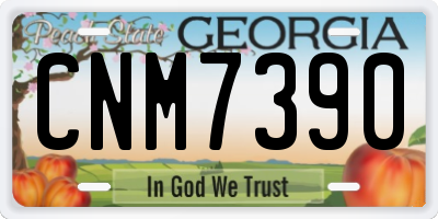 GA license plate CNM7390