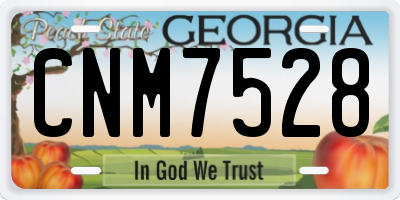 GA license plate CNM7528