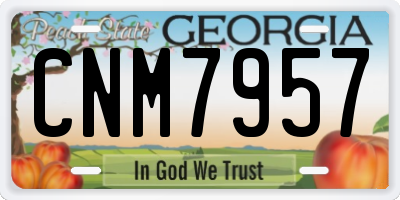 GA license plate CNM7957